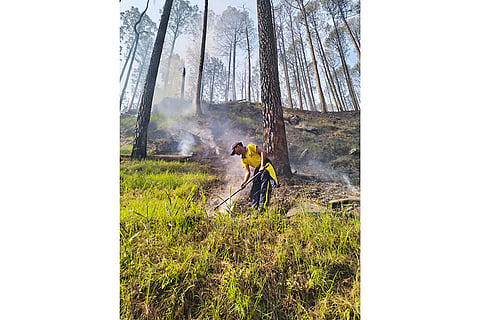 Uttarakhand forest fire